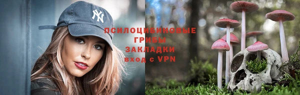 мет Балахна