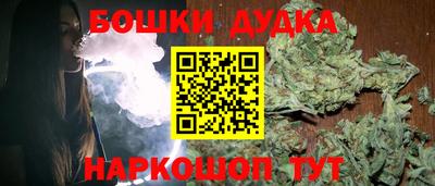 индика Ливны