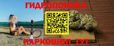 дживик Лесосибирск