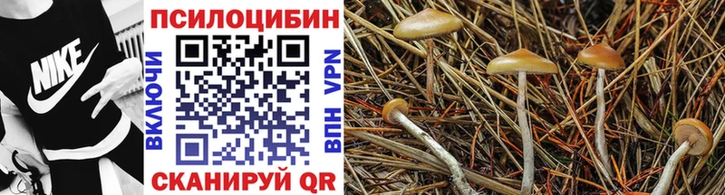 Галлюциногенные грибы ЛСД Дагестанские Огни