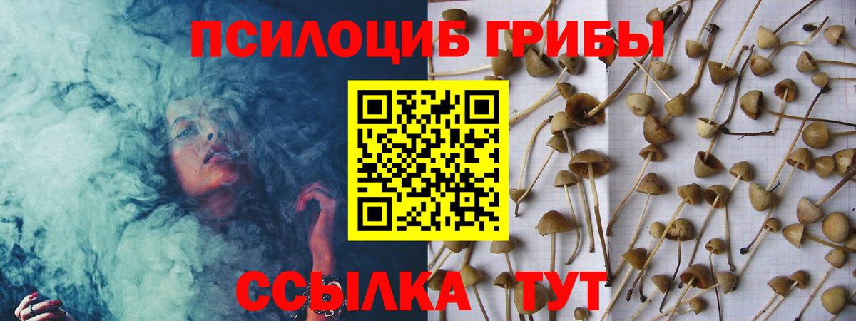 Галлюциногенные грибы Cubensis Дагестанские Огни